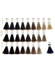 OYSTER PERLACOLOR FARBA 1/0 100ML. 2