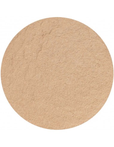 KRYOLAN FIXERPUDER 20G. P19 75700