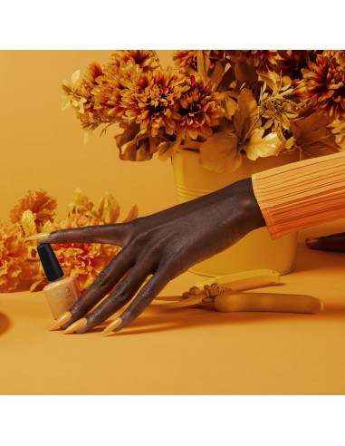 SHELLAC AMONG THE MARIGOLDS 7,3 ML