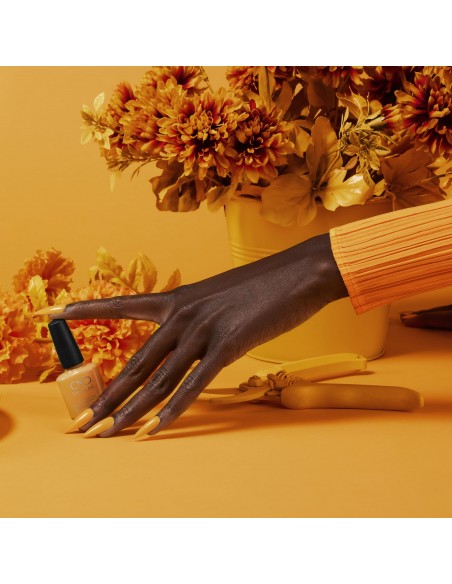 SHELLAC AMONG THE MARIGOLDS 7,3 ML