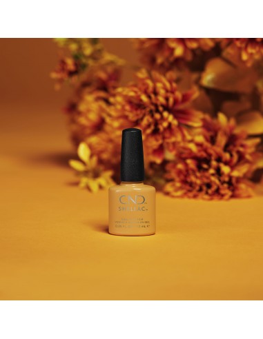 SHELLAC AMONG THE MARIGOLDS 7,3 ML