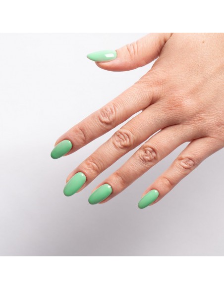 SEMILAC PROF.P086 ZINNIA 7ML