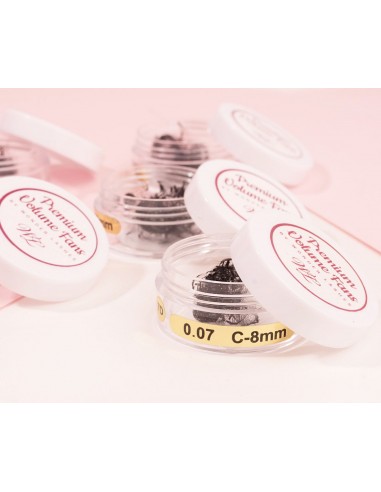 Wonder Lashes Premium Volume Fans 7D Słoik D...