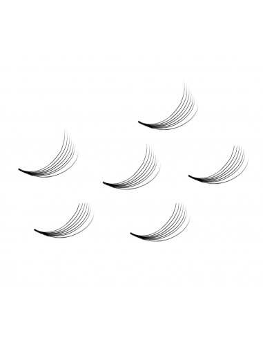 Wonder Lashes Premium Volume Fans 7D Słoik D...