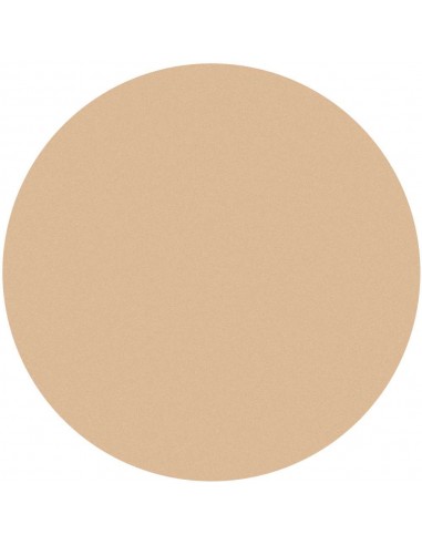 KRYOLAN PODKŁAD PAINT STICK TV 25G. G177 5047