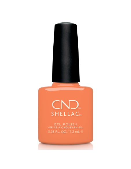 SHELLAC-352 CATCH OF THE DAY 7,3 ML