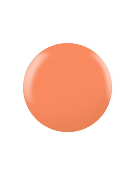 SHELLAC-352 CATCH OF THE DAY 7,3 ML