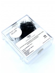 W. WACHLARZYKI RZĘSY VOLUME 10D C 0,1 DŁ.15 2