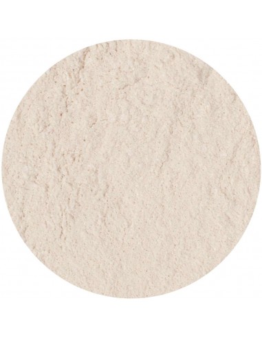 KRYOLAN FIXING POWDER 60 G. P3 75702