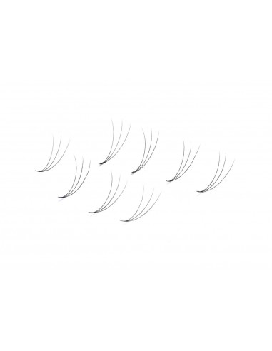 Wonder Lashes Premium Volume Fans 3D Słoik C...