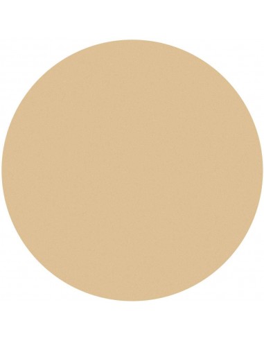 KRYOLAN PODKŁAD PAINT STICK TV 25G. IVORY 5047