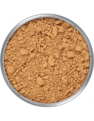 KRYOLAN PUDER TRANSPARENTNY 60 G. TL5 5700