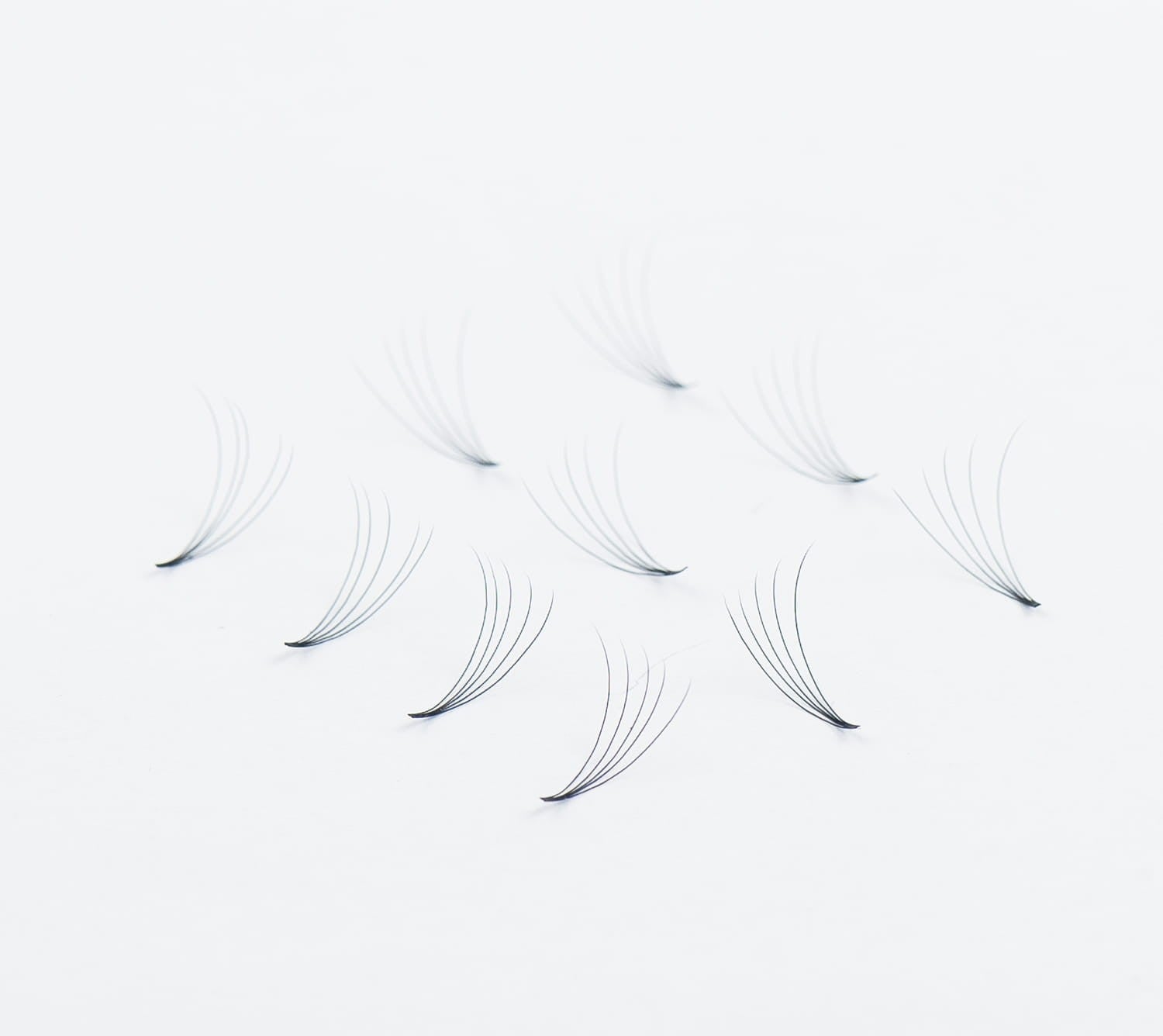 Wonder Lashes Premium Volume Fans 5D Słoik C 0,07 Długość 8