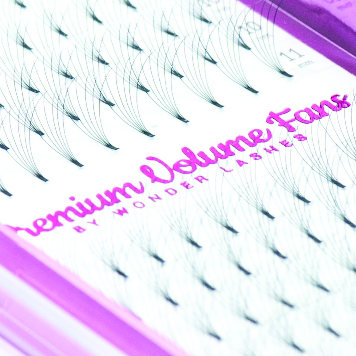 WONDER LASHES RZĘSY PREMIUM VOLUME 6D C 0,07 DŁ.8 - dermes store