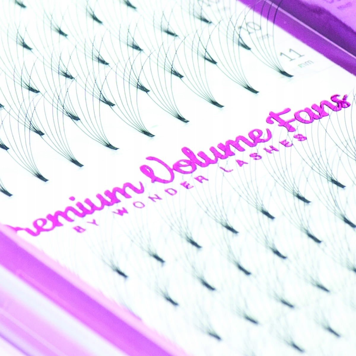 WONDER LASHES RZĘSY PREMIUM VOLUME 6D C 0,07 DŁ.8 - dermes store